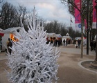 Regarder la photo: Paris - Peene Werner - 