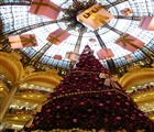 Regarder la photo: Paris - Mario Vancayseele - 