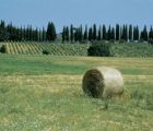 Corte di Valle