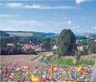 Le Fief dHérambault